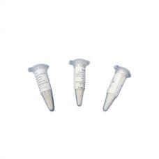 Купить Закваска для козьего сыра в Волгодонске